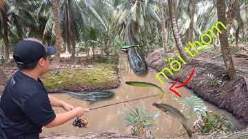 2 lắc test lại mồi mềm nff lên hàng không biết mệt mõi.