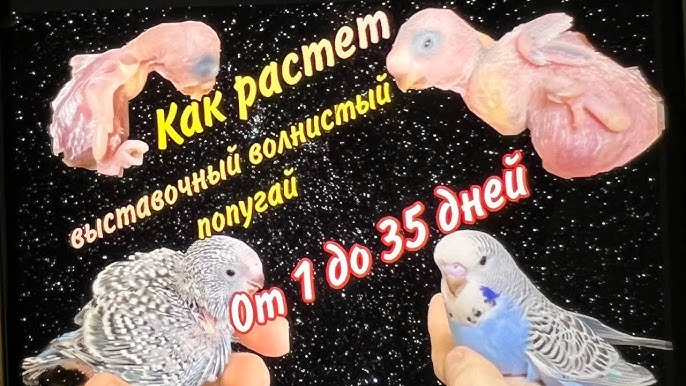 Олеся Фаттахова порно фото