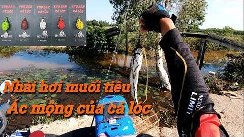 Nhái hơi Muối Tiêu, Mồi giả câu cá lóc siêu nhại táp.