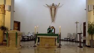 XV Sunday In Ordinary Time Mass