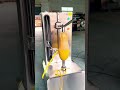 The Smart Machine Revolutionizing Papaya Processing