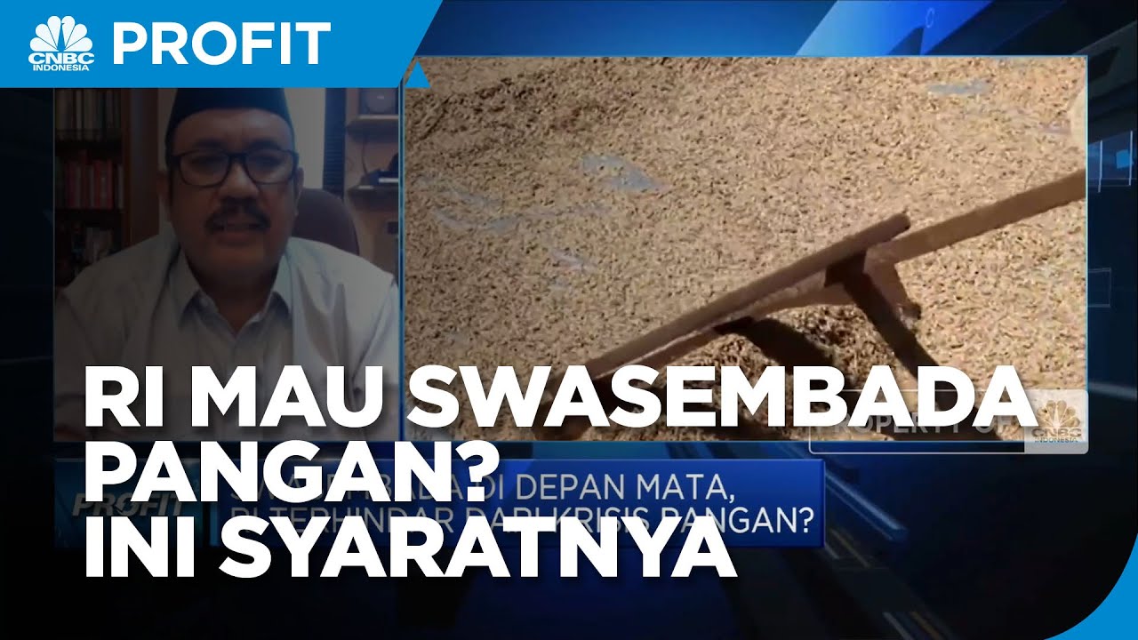 HKTI Sebut 2 Syarat RI Bisa Capai Swasembada Pangan