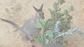 Perth Holiday December 2022