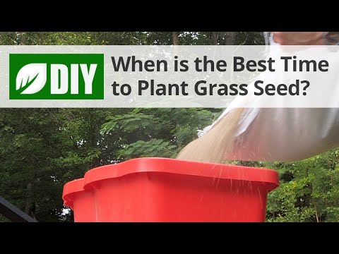 What is the Best Time to Plant Grass Seed? - Fall Lawn Tips | DoMyOwn.com