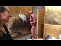 End of video