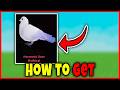 How to GET HARMONIC DOVE FAST in FISCH FULL GUIDE to CATCH HEAVENLY HARMONIC DOVE Roblox