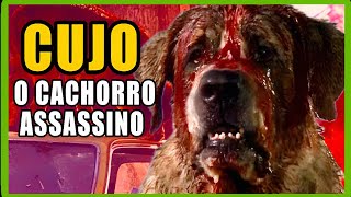 CUJO (1983) - RESUMO E ANÁLISE DO FILME | STEPHEN KING #01