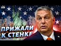 Орбана прижали к стенке. США жестко наехали на венгерского дружка Путина