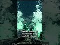 The Ocean is Breathing in the Dark... 🤫 Every scientist was wrong.