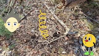 Lovö nature reserve (Stockholm, Sweden)