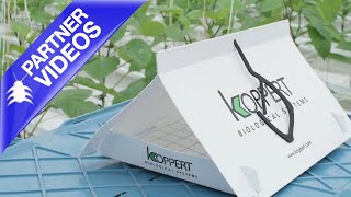 How to use the Deltatrap from Koppert