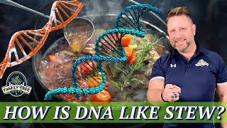 Celebrity WHY SIBLINGS HAVE DIFFERENT DNA! HISTORY & GENEALOGY STEW! Wealth