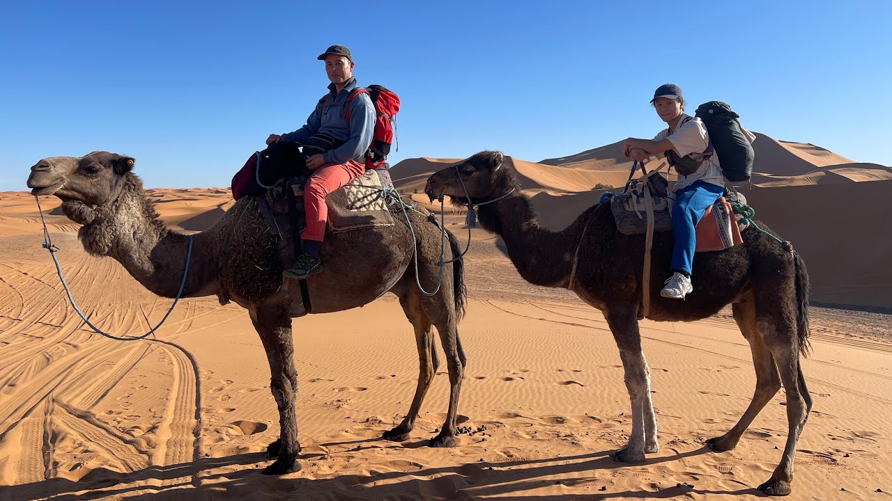 Morocco🇲🇦 It may be difficult to ride a camel in the Sahara