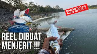 SPOT INI ANTI BONCOS ISINYA BABON SEMUA ! mancing tawes sirip merah di sungai praga !