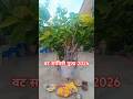 VAT Savitri status/ वट सावित्री व्रत पूजा #viral #shortvideo #VATSavitri #puja2026 #festival #yt