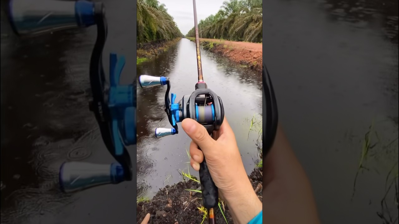 Shimano SLX DC 70 JDM Casting Sound 