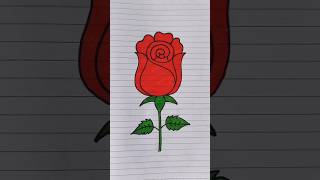 Blooming Rose — Detailed Pencil & Watercolor Drawing 😍😍#shorts