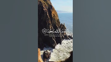 تلاوة عطرة من سورة البقرة #قرآن #quran #تلاوة_خاشعة #اذكروا_الله_يذكركم #أذكار #palestine #gaza