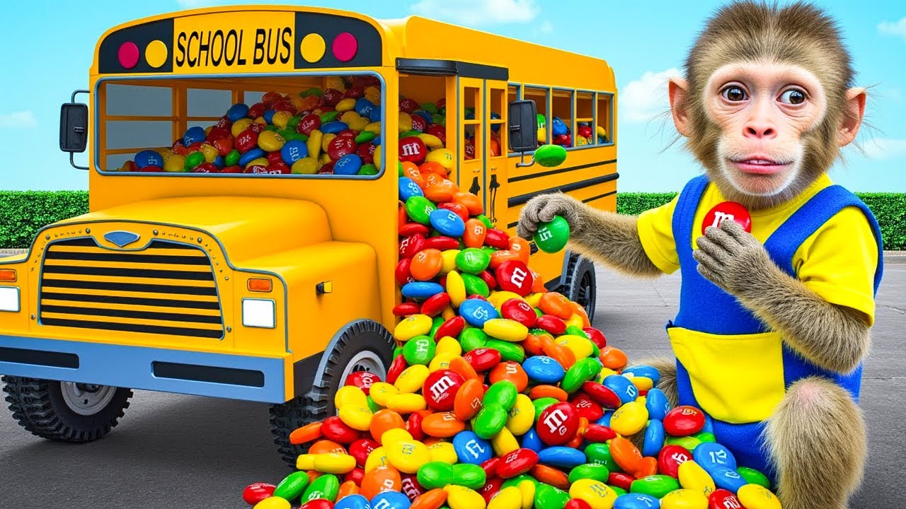 BiBi Monkey Drives a School Bus Full of Candy and Pretends to be a Robber | Baby Monkey Daily