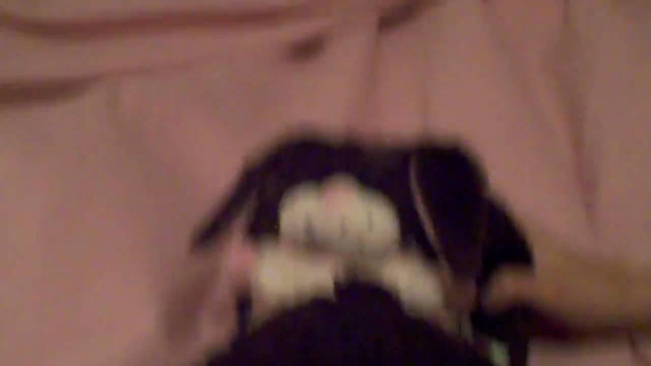 billie eilish wallpaper The Nippy & Flippy Show episode 2 season 1 The Alive Rock.
