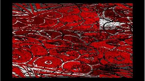 2 layer multi-directional parallax scrolling (Atari ST, 25 fps, software)