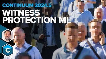 Continuum 2024.5 - Introducing Witness Protection ML [Boris FX]