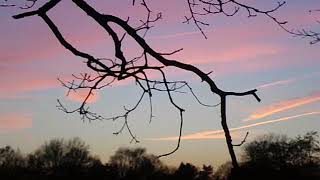 Rosa Wolken und blauer Himmel der letzte Schrei screenshot 4