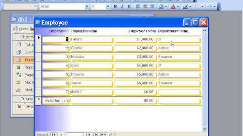 MS Access 2003 Part 16) Form in Dari / Farsi Omar Akbari
