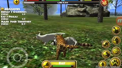 Stray cat simulator gameplay part 1