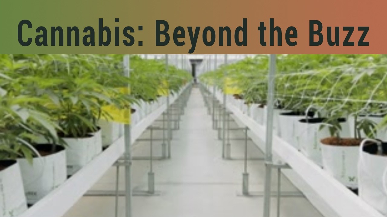 Каннабис: за пределами кайфа