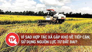Vì sao hợp tác xã gặp khó về tiếp cận, sử dụng nguồn lực từ đất đai? | Truyền hình Quốc Hội Việt Nam