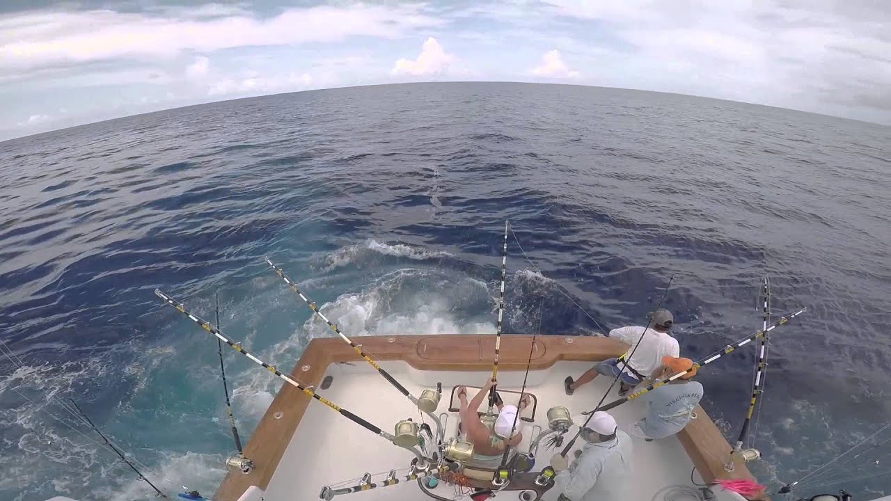 Sea Toy Sportfishing YouTube