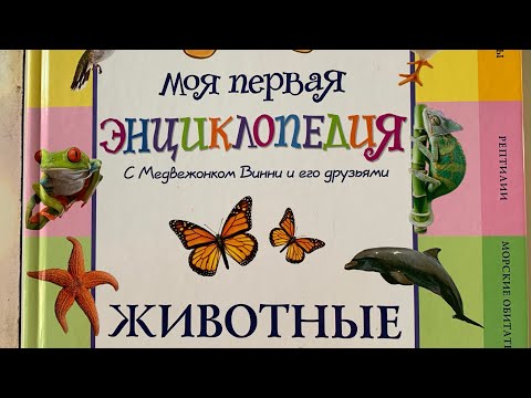 «Моя первая энциклопедия с Медвежонком Винни.Животные.», издание ‘ЭксмоДетство’.