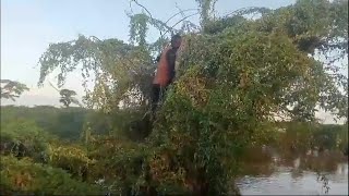 Red Cross rescues man stranded in tree for five days in flood-hit Kenya | AFP