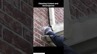 Gutter Clean-Up: Protect Your Home 🍂🏠 #HomeCare #GutterCleaning screenshot 1