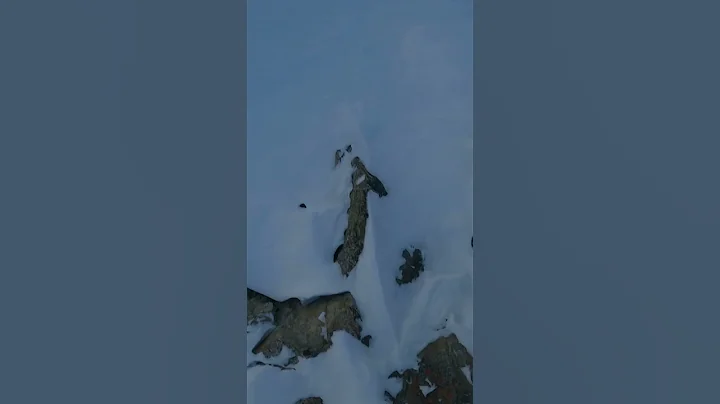 Afternoon Sessions in the Idaho Backcountry | Warr...