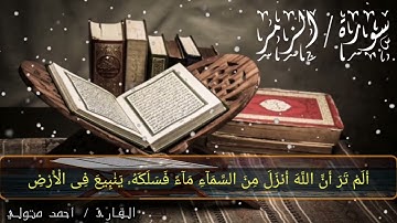 سورة الزمر | القارئ أحمد متولي