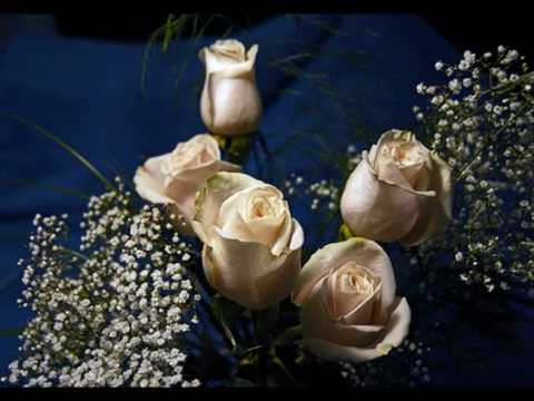 André Rieu ~ Serenata - YouTube