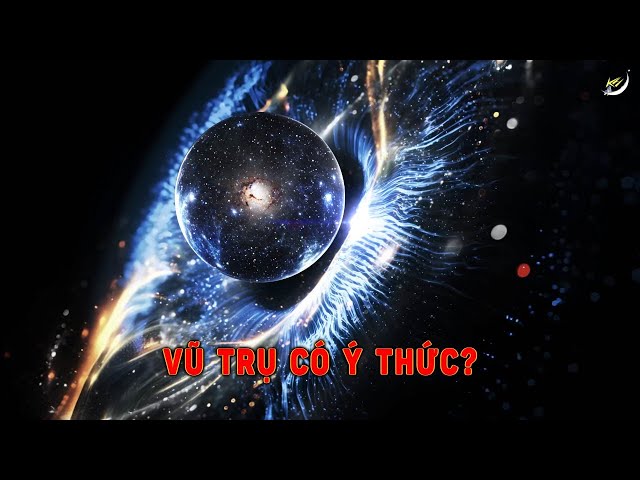 Hard Problem of Consciousness và bí ẩn của ý thức