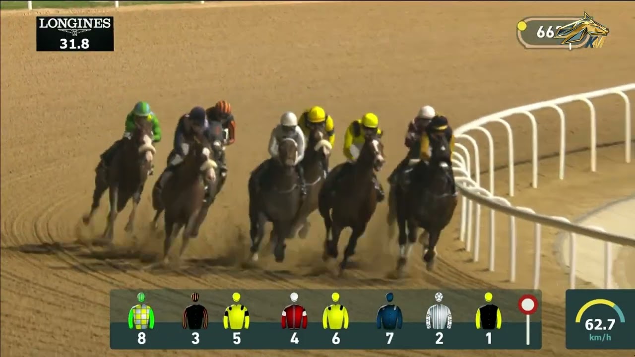 AL SHINDAGHA SPRINT. ХЕТ-ТРИК ТУЗА 24.01.2025