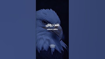 سورة القصص | الآية 33-34 | القاري: بلال دربالي ♡