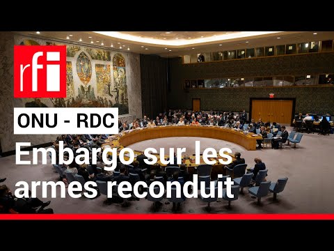 RDC : que dit la résolution du conseil de sécurité de l’ONU sur les armes ? • RFI