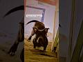 पुच्चू #vs#shorts#dogshorts#pitbull#dogtraining#americanbully#dog#labrador#ytshorts#k9#comedy