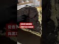 《小鬼當家》中的房子被做成了蛋糕－ BBC News 中文