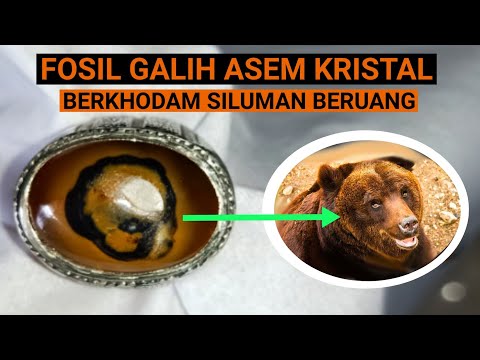 CATATANHITAM Terima Kasih Telah Menonton Video Kami CATATAN HITAM Adalah Channel Yang Berisi Tentang. 