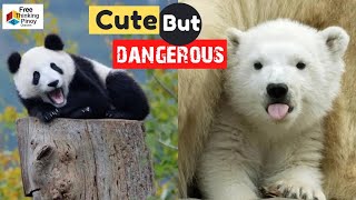 10 CUTE BABY ANIMALS NA KAILANGAN MONG LAYUAN KAPAG MALAKI NA screenshot 5