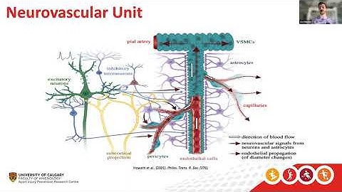 NIRx Webinar: Physiological Considerations During Multimodal fNIRS Imaging Protocol with Joel Burma