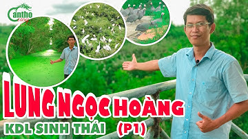 Lung Ngọc Hoàng - Nơi Trú Ngụ Các Loài Chim Cực Quý P1 || Cần Thơ Vlog
