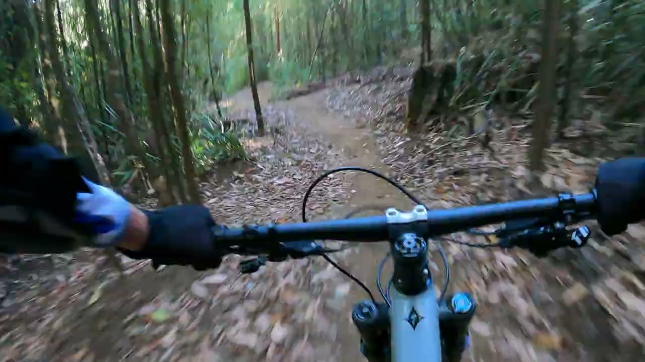 Most Challenging Section - Cascades MTB Trail, Lake Mountain to Marysville