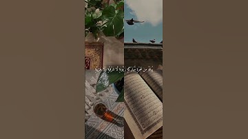 اللہ نور السماوات والارض مثل نور تلاوة خاشعة تريح القلب #سورة_النور #اكسبلور #راحة_نفسية #قرآن_کریم